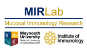 Logo MIR-Lab